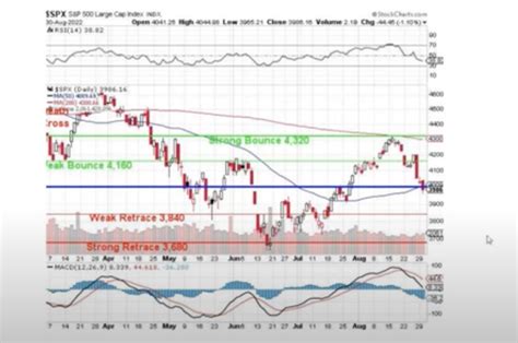 phil's stock world